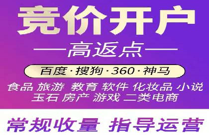 深度解析：百度推广代理的运营策略与效果